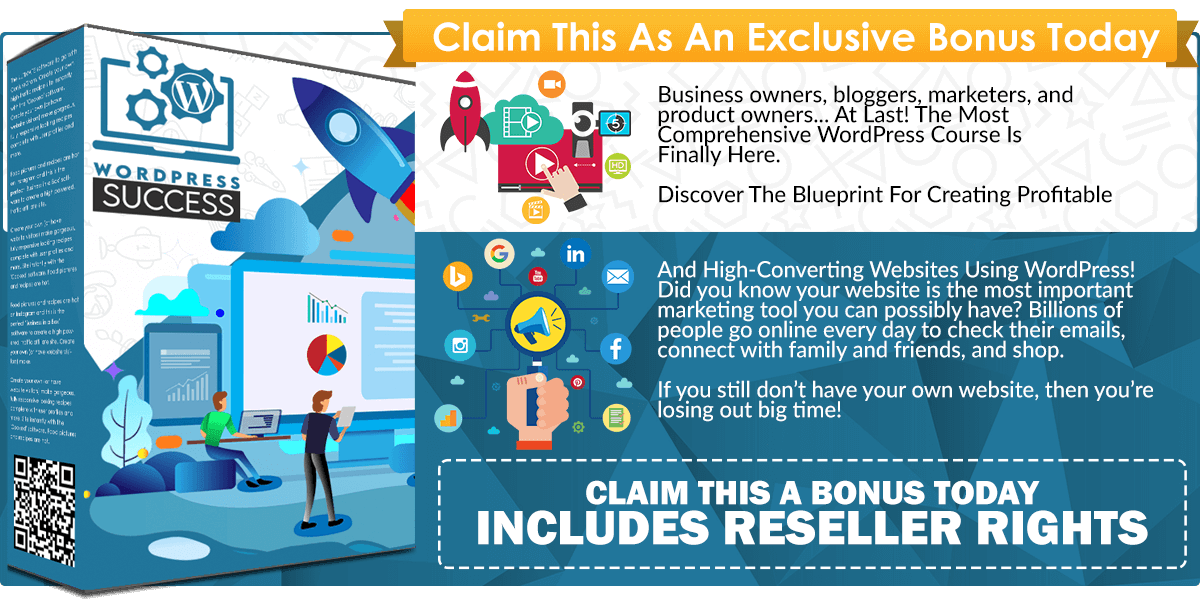Wordpress Success infographics