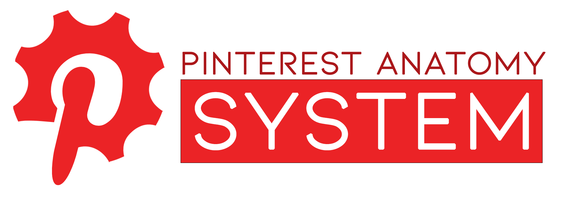 pinterest anatomy system